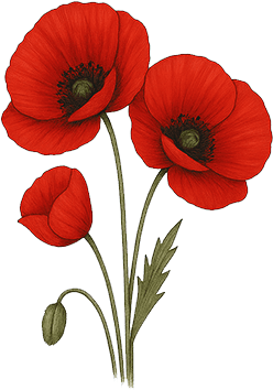 Gelincik Kartı Kampanyası Başladı